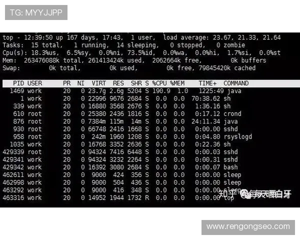九游ag登录入口出现问题时的详细排查步骤与应对措施 九游ag登录入口出现问题时的详细排查步骤与应对措施