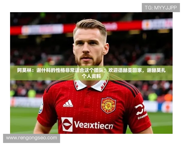 九游娱乐app与不莱梅赞助商合作背后的商业策略解析